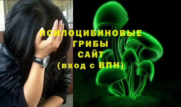 ГАЛЛЮЦИНОГЕННЫЕ ГРИБЫ Нягань