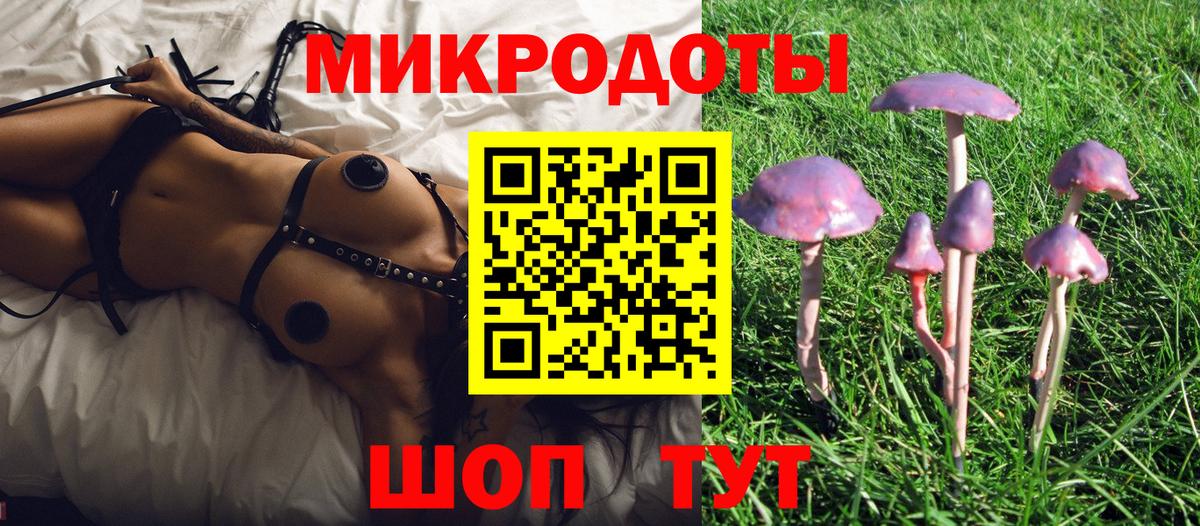 Луга  Псилоцибиновые грибы ЛСД  Галлюциногенные грибы Psilocybine cubensis  Вход с VPN 